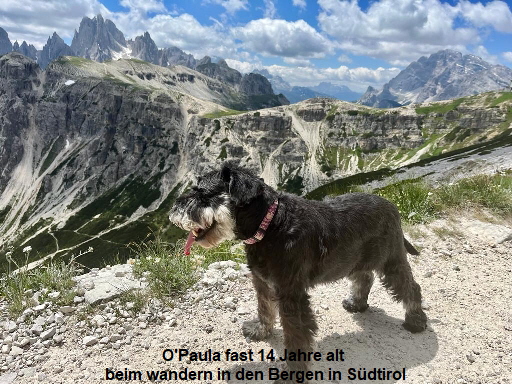 O'Paula fast 14 Jahre alt 
beim wandern in den Bergen in Südtirol